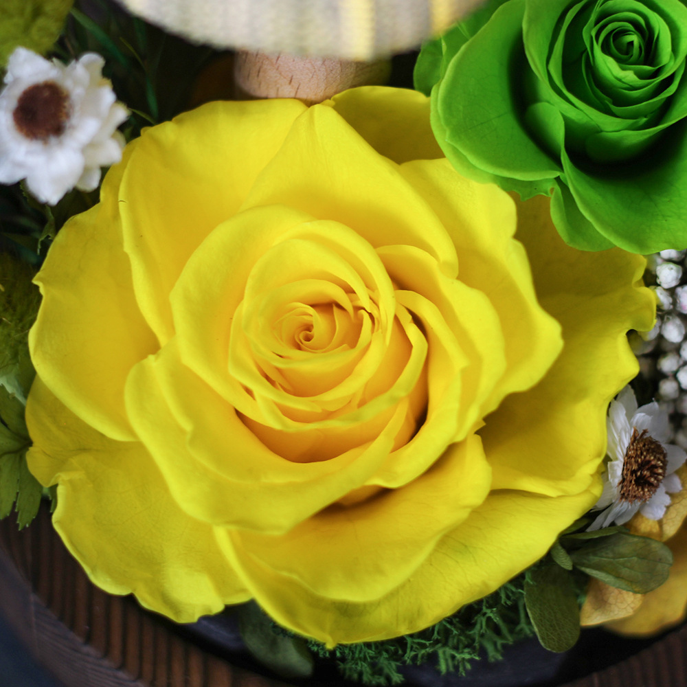 Amazon con flor eterna ligera cubierta de vidrio esférico terminado rosa flor eterna Xinghai Día de la madre Regalo de San Valentín