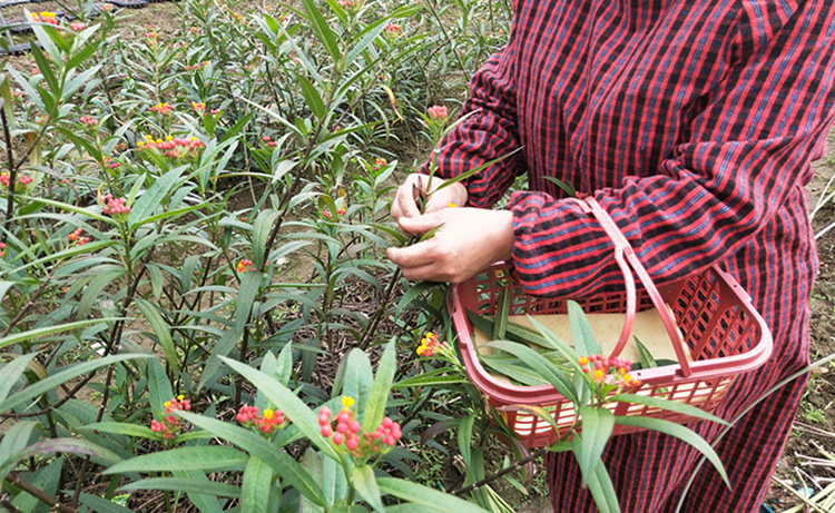 IMG20181122134111_副本