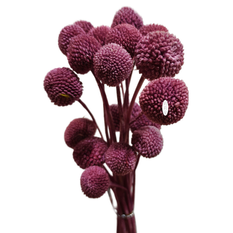 매실색(20개/묶음)