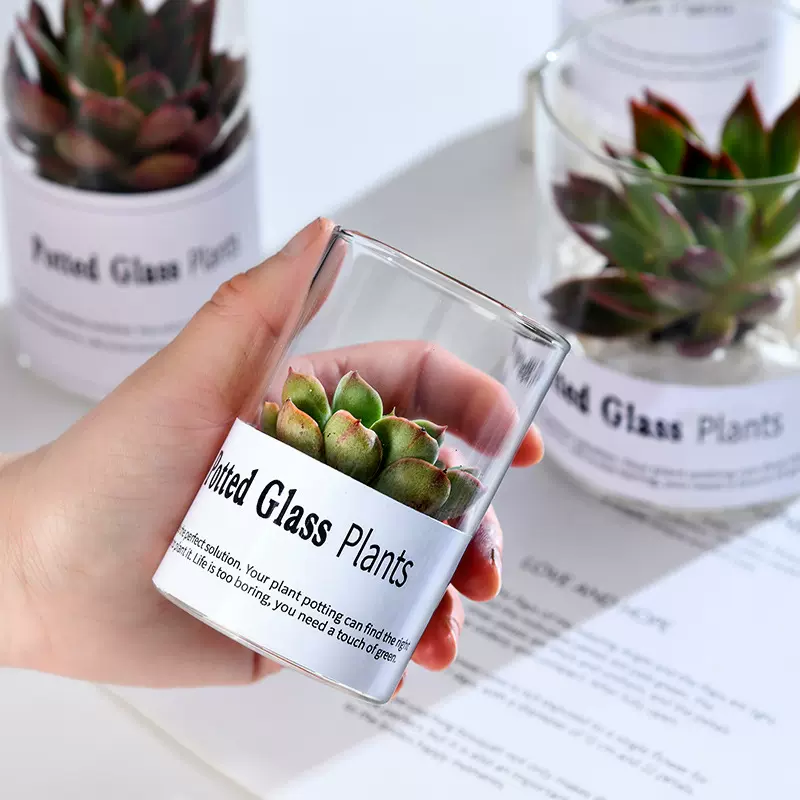现货简约欧式多肉玻璃花盆室内水培绿植 盆栽透明玻璃小花瓶ins风