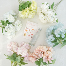 ���滨��5�潑�򻨼Ҿ��bƵ�ܛ�b�������羳���N�廨���ļٻ�