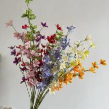 ��c�������� ������ ��Y�ñ�����픻��L֦�廨��·����ˇ����