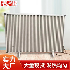 壁掛け着地炭素繊維炭素結晶グラフェン電気暖知能超薄速熱乾式電気放熱器の美しいカスタマイズ