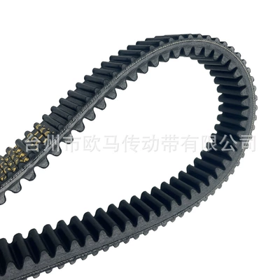 Belt S800 1000 21040303801