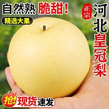 ���r���Ӻӱ����ڻʹ���5/9�ﮔ��ˮ�������֭��������ѩ��