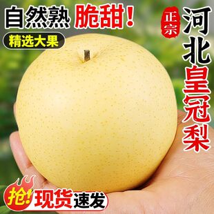 ���r���Ӻӱ����ڻʹ���5/9�ﮔ��ˮ�������֭��������ѩ��
