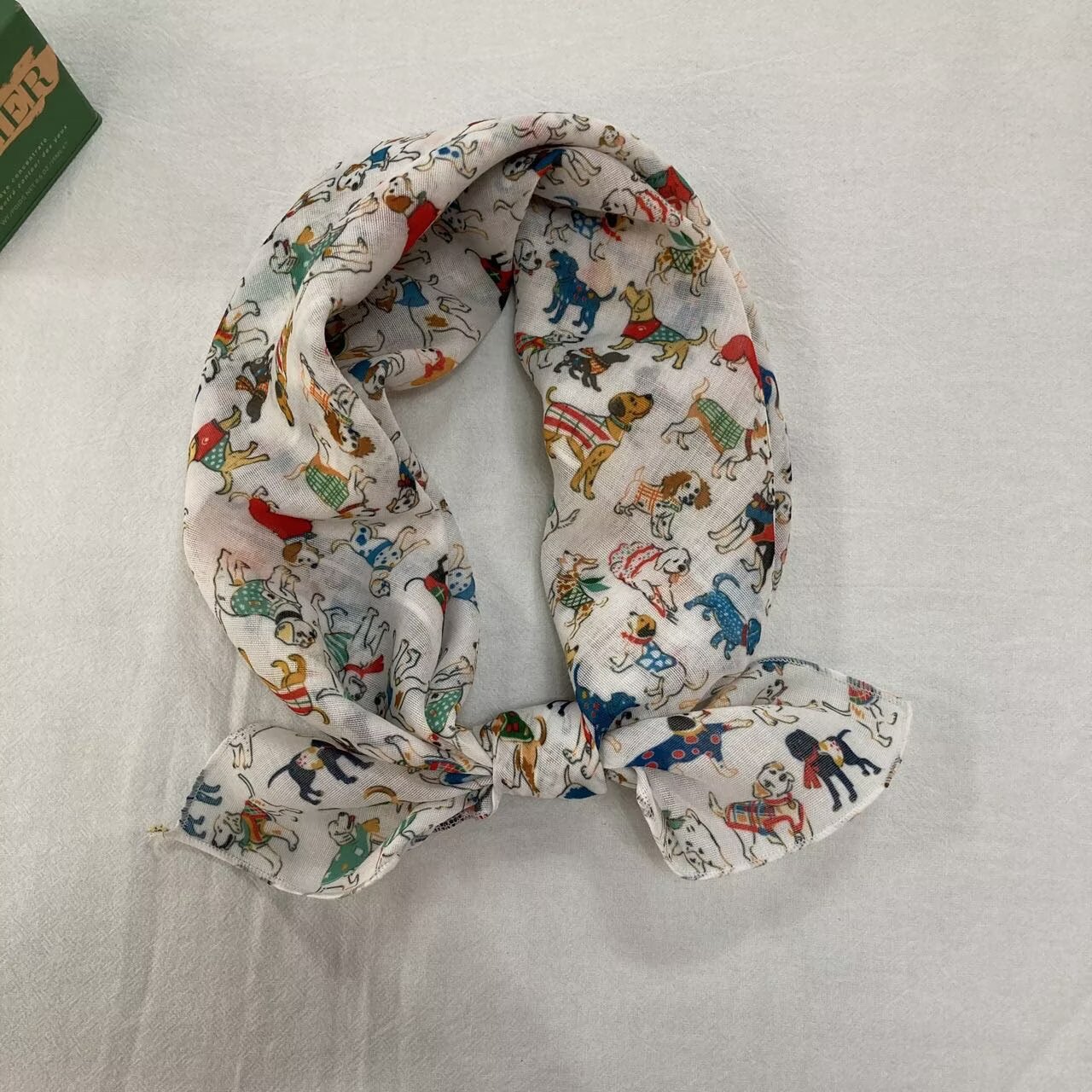 5 화이트 원트원트 팀