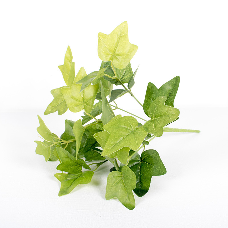 Hoja de la patata dulce 7-Fork