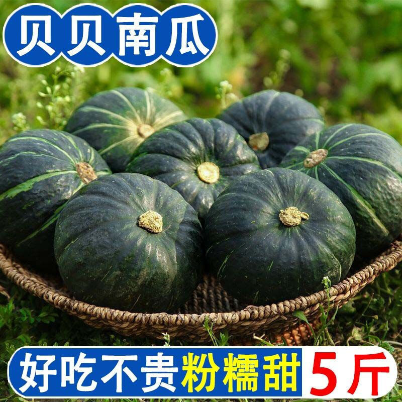 Baby Pumpkin with Fresh Chestnut Flavor, 2.5kg Free Shipping Baby Food Supplement, Natural Ripening, Available for Dropshipping