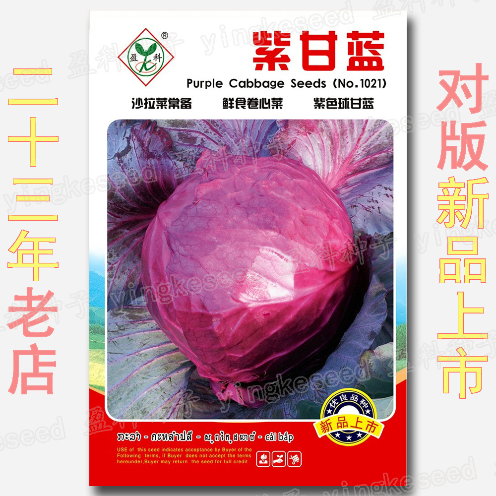 蔬菜种子公司大量批发紫甘蓝种子包菜种紫色红圆白菜约100粒原装