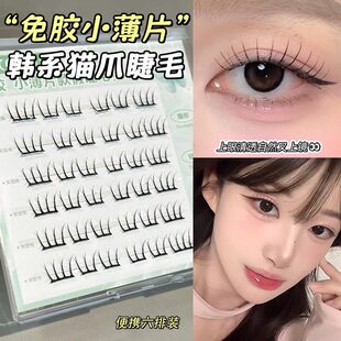 faiccia~��ϫС��Ƭ����ϵ�� ���z�nϵ؈צ�ٽ�ë��ж���W��