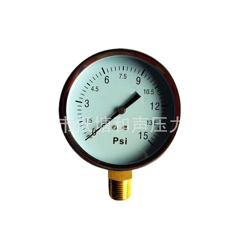 ���ҹ�Ӧ��ͨѹ����Y80����10KG�����ѹ������ձ���ѹ��