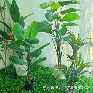��ˮ�^������Gֲ���Q�ؙ�����Ѫ�䱱�W�����B�͏d�b��҃�