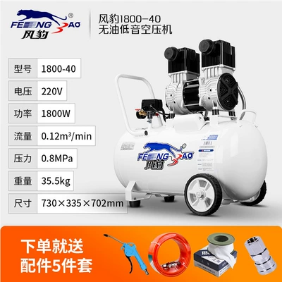 Hava kompressorları: Portable Oil-Free Bass Air - oil-free-1800-40-40l-1800w