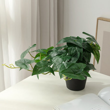 ����Ҿ��b��������Է���G�}ֲ���辰��܇ԡ����@���ȏd���b��