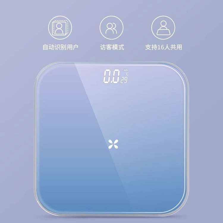 High-Precision Smart Home Small Body Scale Accurate Dormitory Rechargeable Universal Rechargeable Electronic Scale