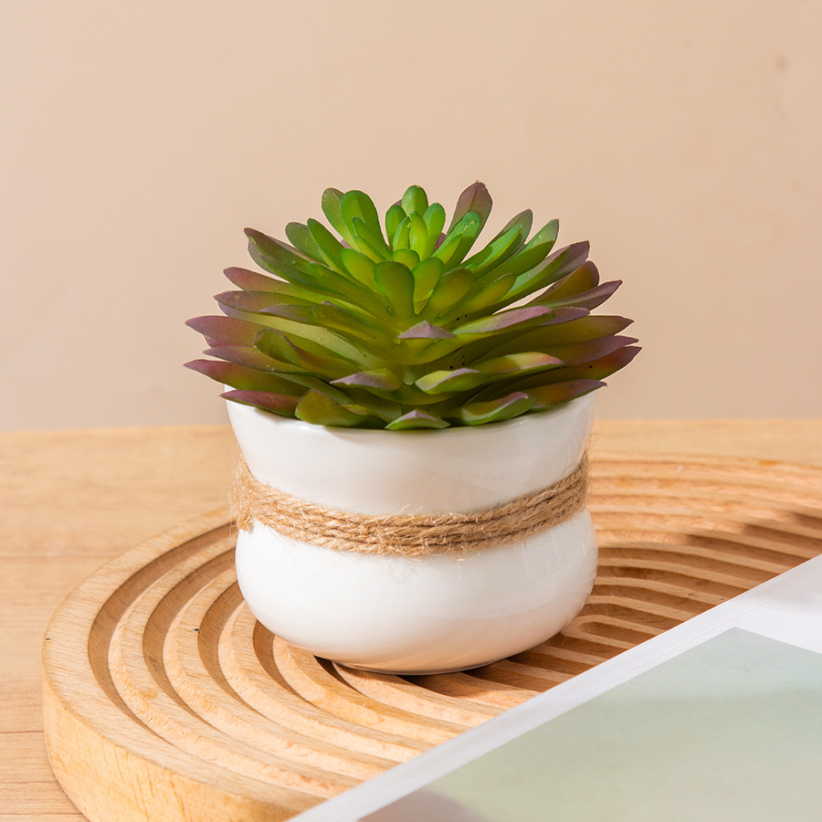 �羳����ֵ���⻨ƿ�Ҿ����������ڼ��칫��װ�������մɻ��趨��