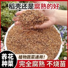 高温发酵稻壳腐熟盆栽拌土绿植植物盆栽花卉三角梅月季通用走量