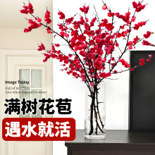鲜切红梅干枝水培桃花鲜枝条植物梅花枝室内桌面绿植盆栽雪柳带花
