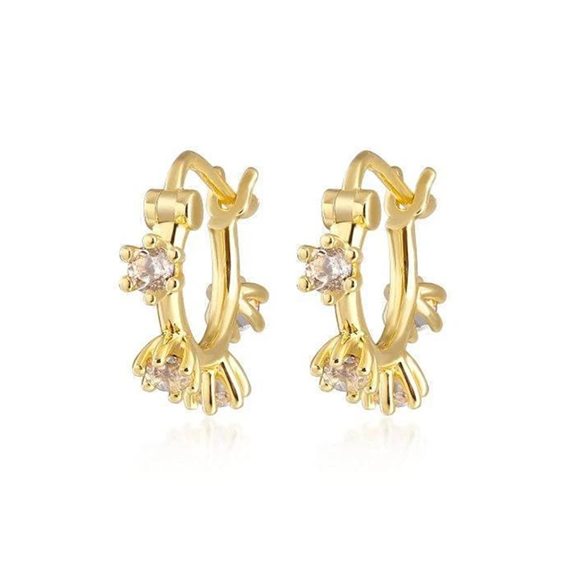 Boucles D'oreilles Rondes En Zircon Avec Aiguille En Argent S925 Boucles D'oreilles En Diamant Sens Design De Mode display picture 1