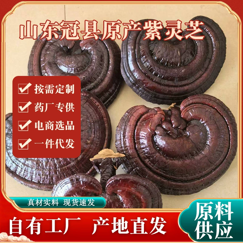 Ultra-fine purple Ganoderma lucidum whole bitter red Ganoderma lucidum extremely fine powder red Ganoderma lucidum diced Ganoderma lucidum slices gift box boiled in water and soup natural