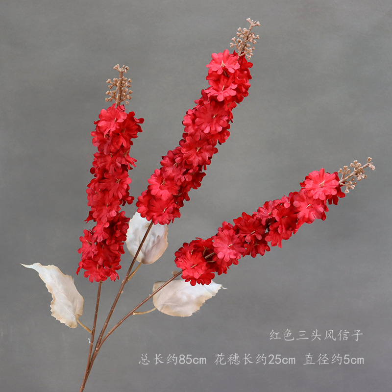 빨간색 삼두 히아신스의 가지