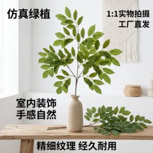 ���涹���~�����~�ܘ��~�G���٘��~�ӈ@�ֹ�����������쾰�b�