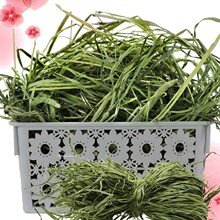 ĦݕӌĪɲݚwl؈ϰò