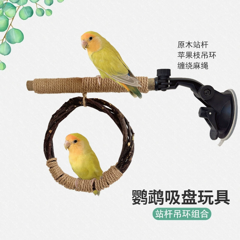 Многофункциональный деревянный попугай игрушка присоска птица станция шпагат бревна стеллажи