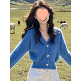 慵懒风蓝色v领针织开衫女2025秋冬新款软糯毛衣小个子外套短上衣
