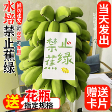 ������ֹ���Gˮ���㽶�ܽ^���]�k���ҰŽ������oֹ���GС�׽��O��