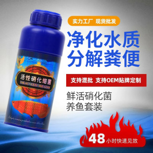 nitrifying bacteria aquarium water purifying agent for fish nitrifying bacteria stock solution ornamental fish dechlorination agent nitrifying bacteria for fish