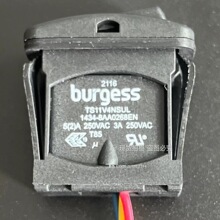 TS11V4NSUL N_P ԭbM ˼_P Burgess