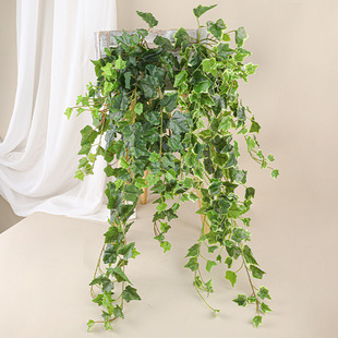 ���������ع��~�ڒ����ֲ���ٗl�����b��Gֲ�����ٻ���ɽ��