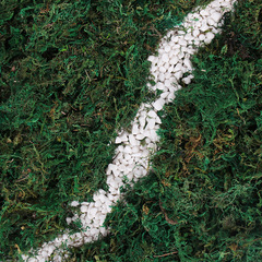 Factory Direct Sale Artificial Moss Home Plant Pot Decor Accessory Landscape Room Garden Decoration Evergreen Moss Wholesale