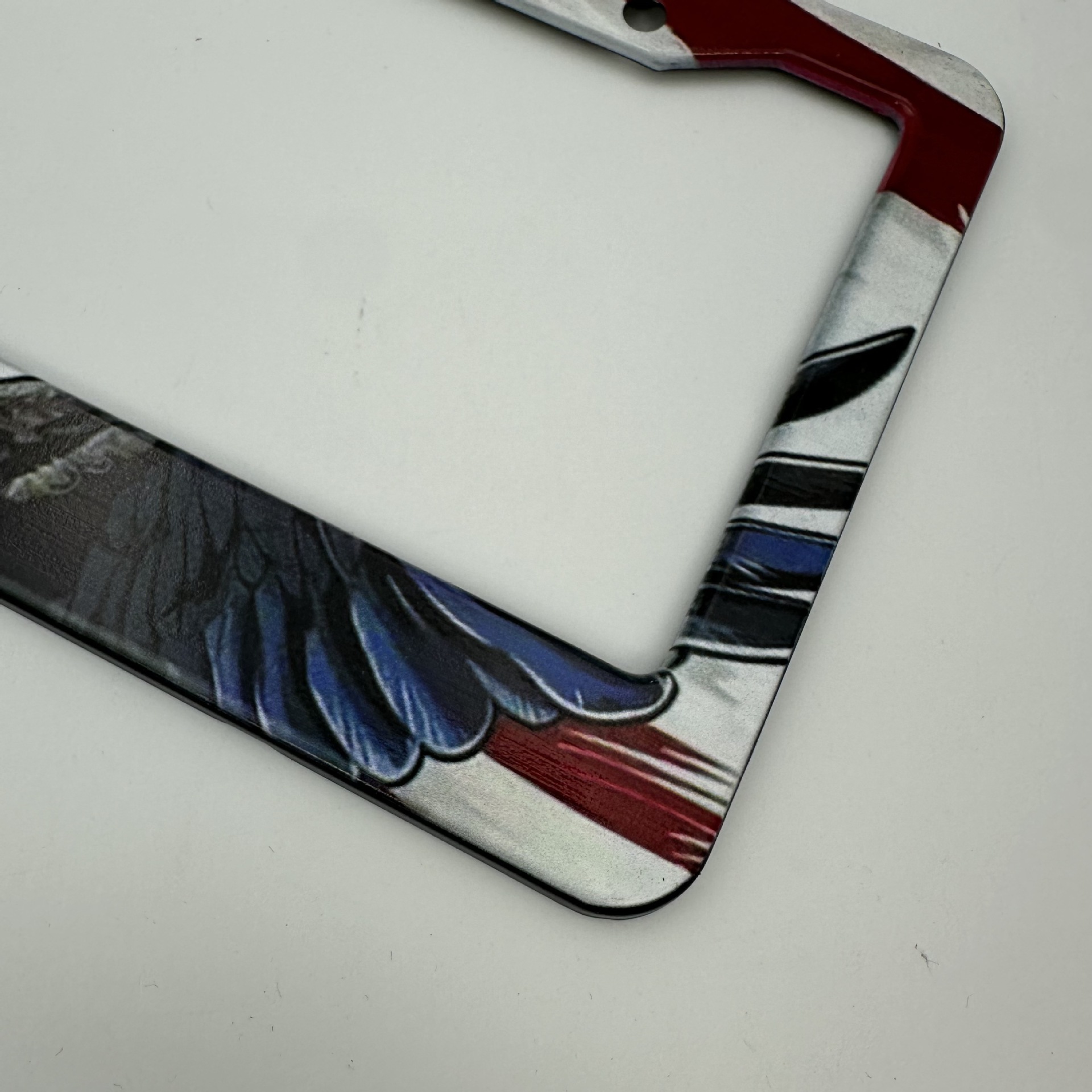 American Standard Aluminum Alloy License Plate Frame with Personalized Flying Eagle Full-Print Design, Thickened and Anti-Detachment, Export License Plate Holder, Customizable