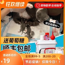 貓咪接生用品全套懷孕工具母貓待產包寵物狗狗吸羊水器止血鉗