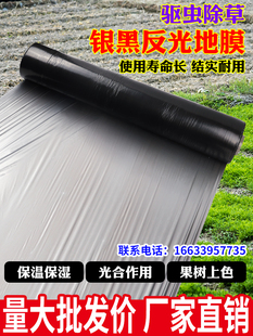 Silver-Black Two-Tone Reflective Silver-Gray Mulch Film for Fruit Trees to Prevent Weed Growth, Black Adhesive Film for Agricultural Planting, Thickened