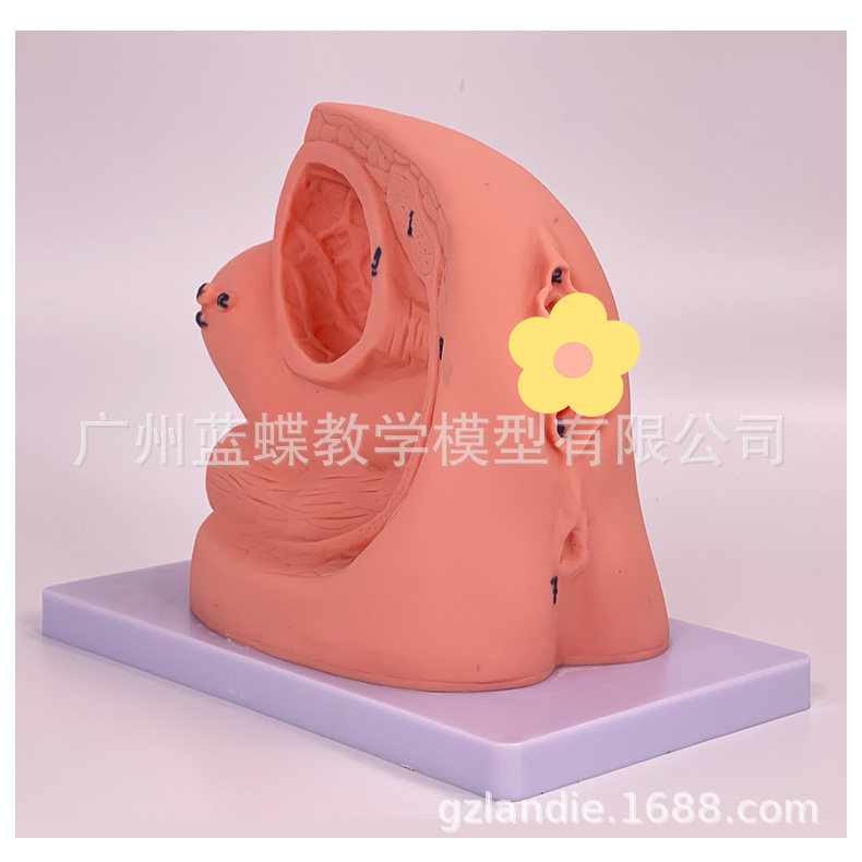 详情_14