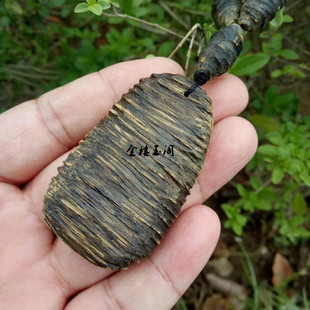 ľˇ����Խ�ϳ��������������������������ɫ�����S�͒��