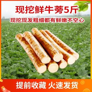 ���x �F��ţ��1���b������ظ�������aƷ�F�����r�߲�ţ���