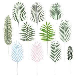 �羳����ɢβ���~ ��c�廨�F���~�b� ����Gֲ����zӰ�Ĕz����