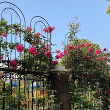 vFɏ¼ټNޱͥԺ@Fˇ֧μ