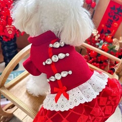 新中式古韵国风礼服裙 宠物狗衣服婚纱泰迪比熊犬秋冬过年唐装