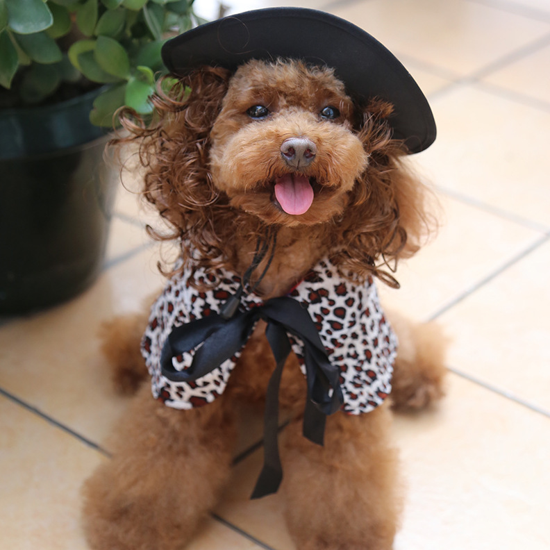 Trasformare i vestiti del cane in un costume di Halloween con cappello e mantello, divertenti accessori per animali domestici, articoli per animali domestici_voghion.com