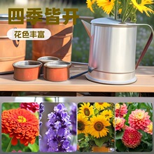 Դ�^�S�һ��ܷN��С���b���ղݻ��ܷN��͸�������b��ɫ����̴��l