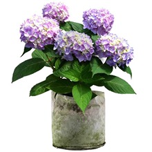 �󻨽������ļ��_���o�M�����Ի��ܾGֲ���҃��̨���BͥԺ����