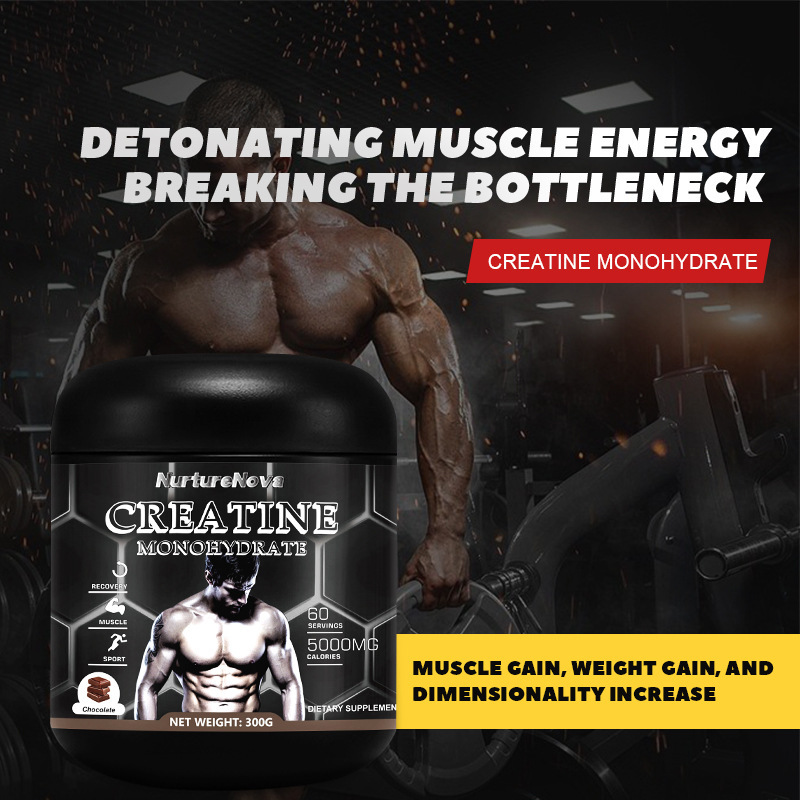 外国貿易の輸出の筋肉酸の粉のcreatine powerの1水の筋肉酸の合物の筋肉のフィットネスの300gの現物|undefined
