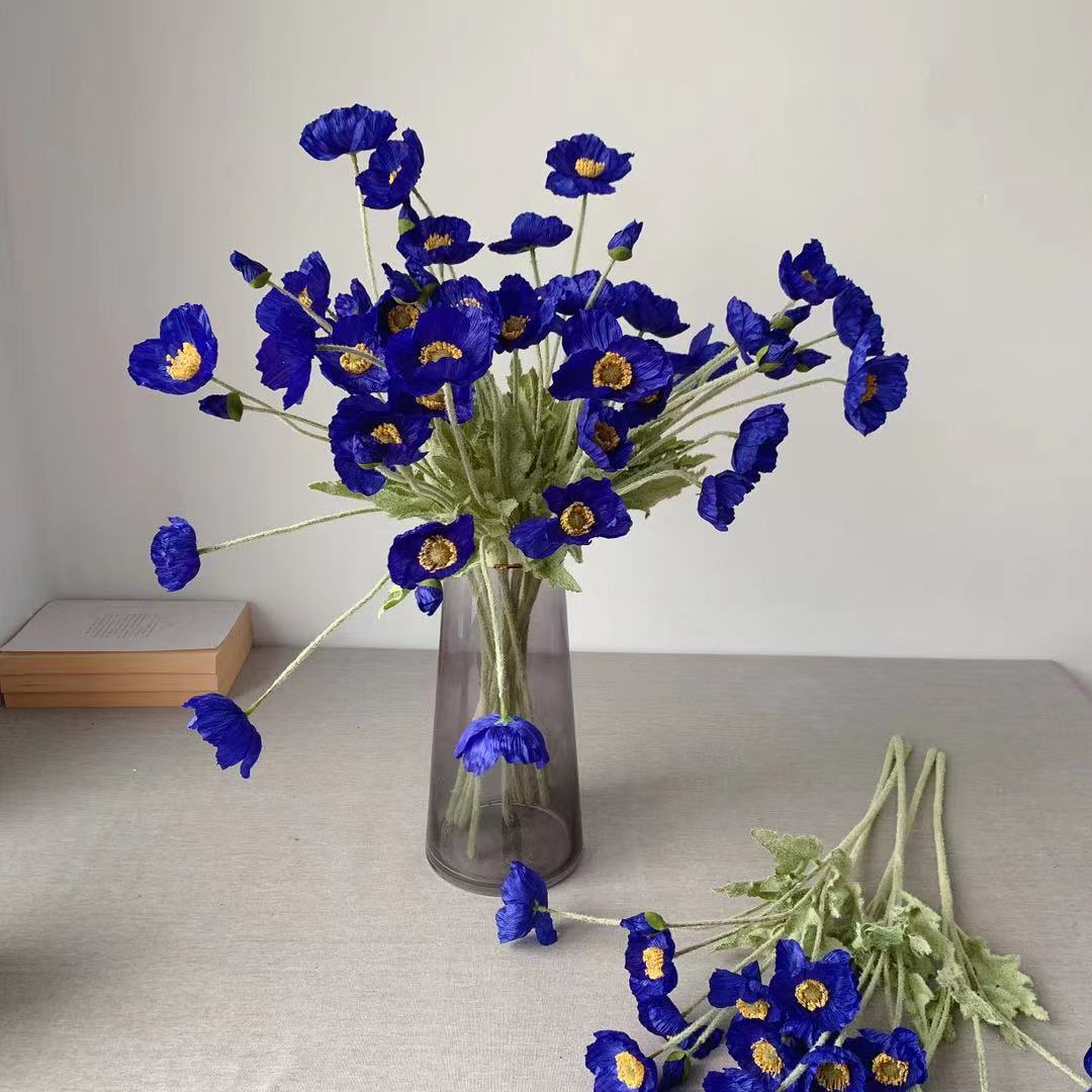 6603d031f205f2417fdba82b8b669c