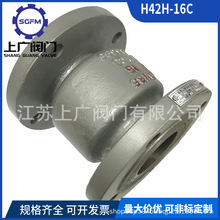 铸钢立式升降止回阀法兰H42H-16CWCB逆止阀国标认证